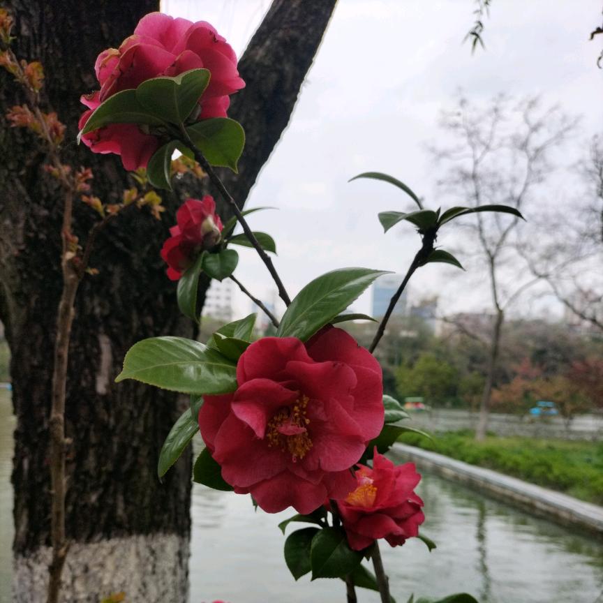 山下小河倒孜然头像