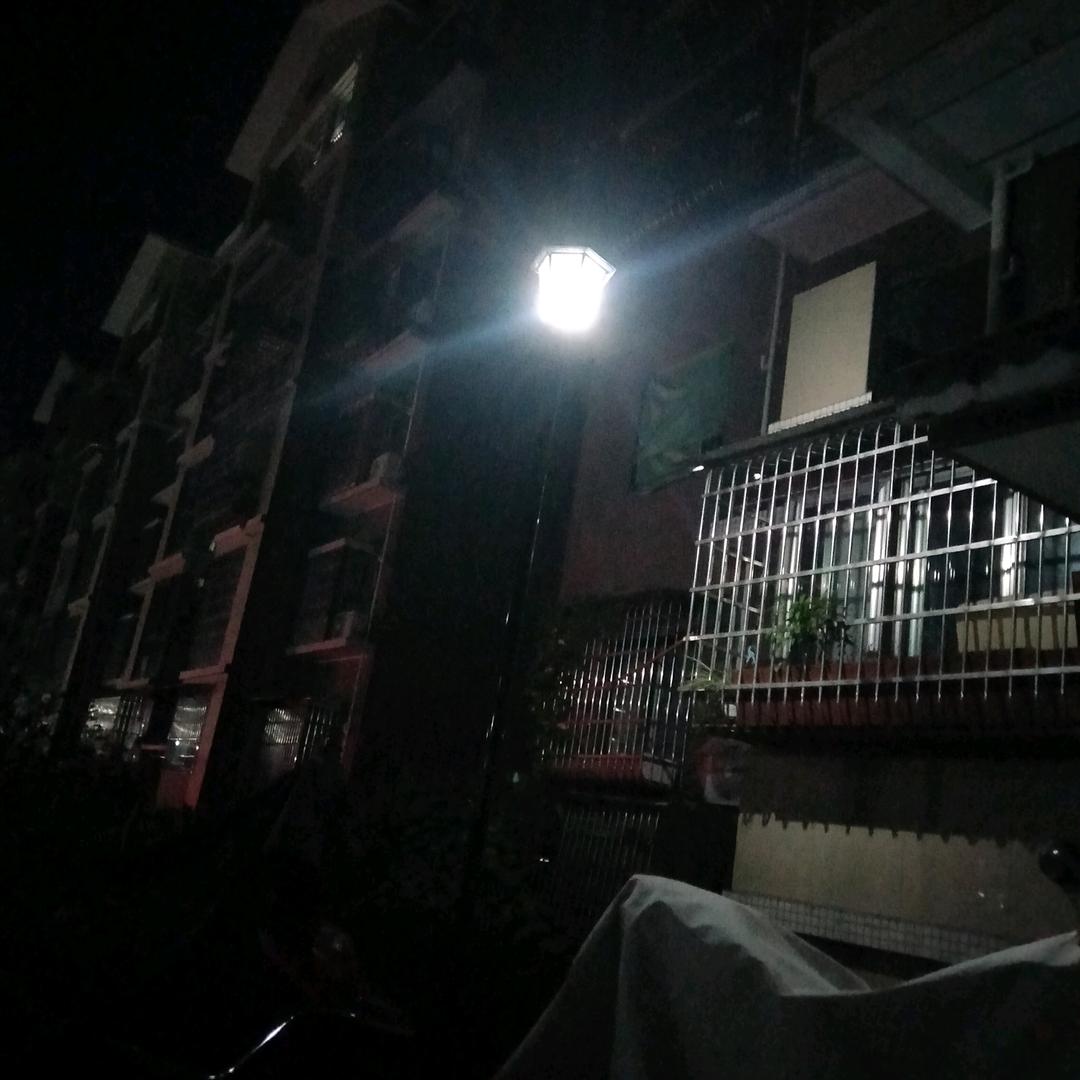 我自由头像