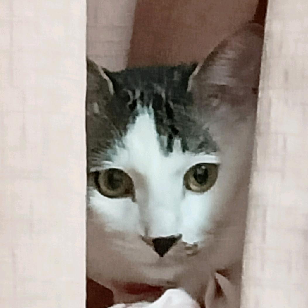 .头像