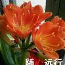 风雨过后见彩虹头像